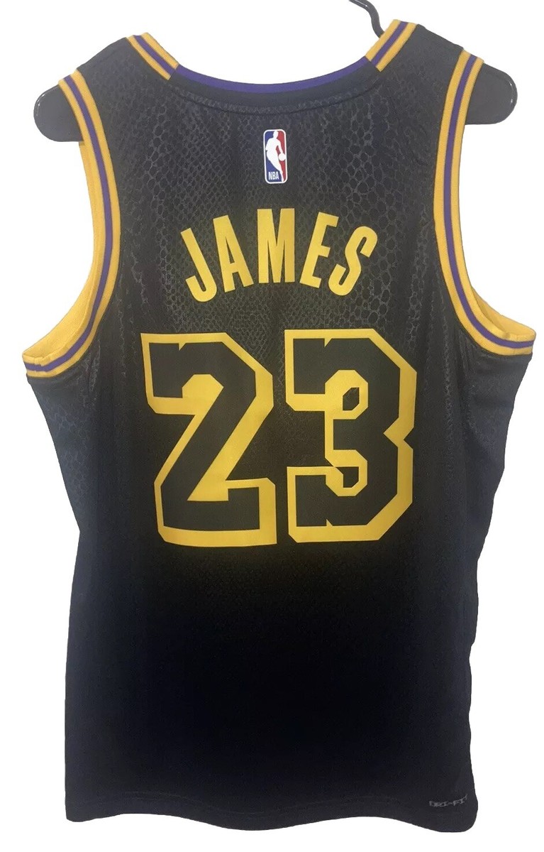 LeBron James Los Angeles Lakers NBA Jersey 44 Med Nike Kobe