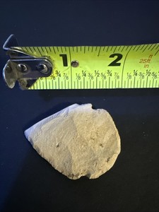 Native American Arrowhead Central Kentucky