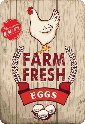 Schild Spruch ''Farm fresh eggs, premium quality'' 20 x 30 cm Blechschild
