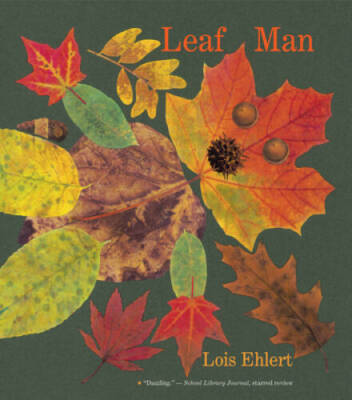 Leaf Man big book - Paperback By Ehlert, Lois - VERY GOOD