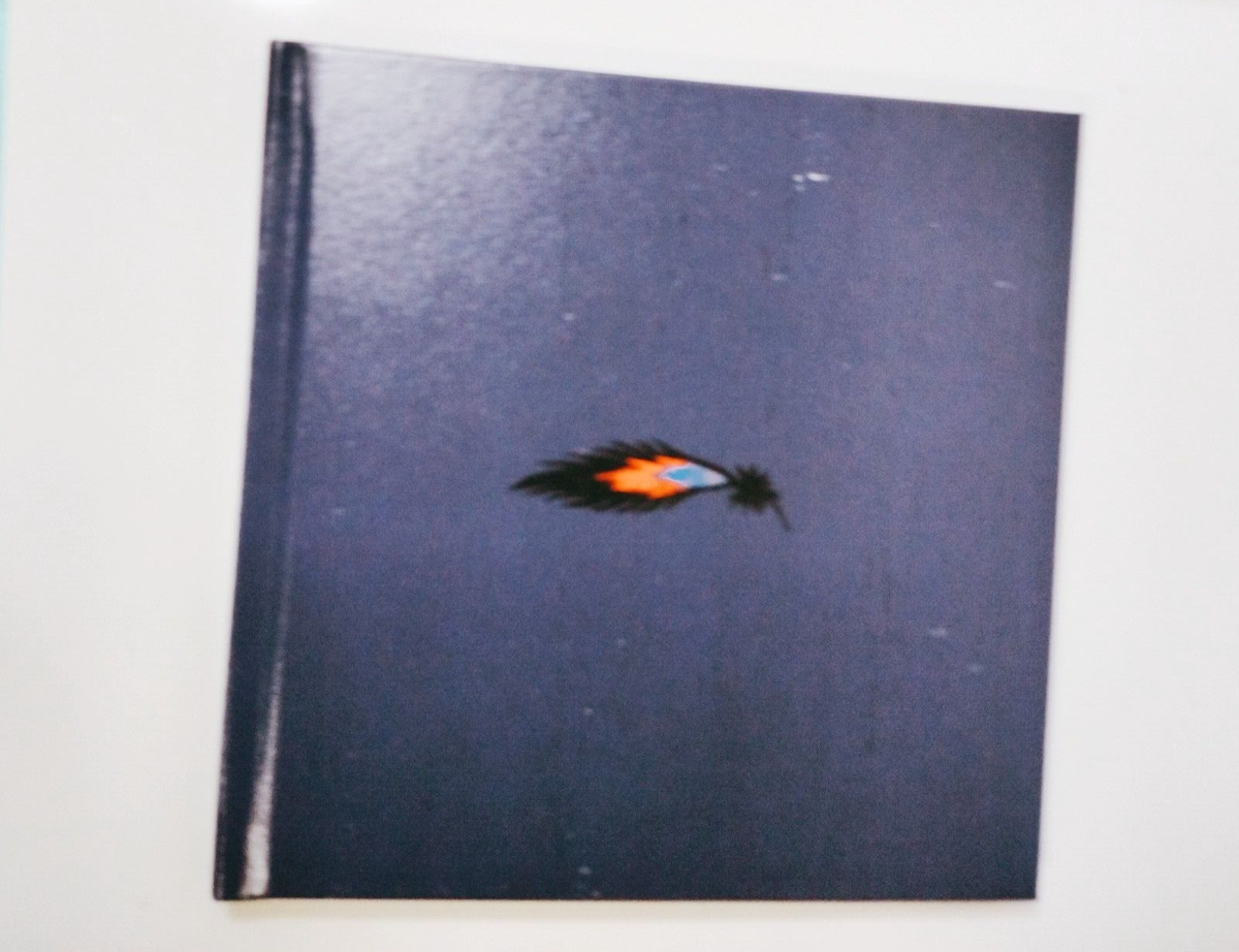 Darling in the Franxx Picture Book 