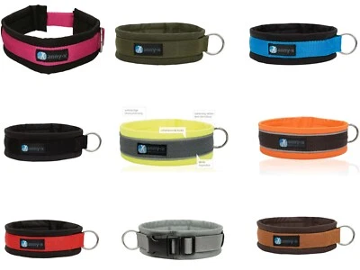 Anny-X Steckhalsband FUN/PROTECT Annyx Hundehalsband div. Farben & Sonderfarben
