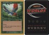 Birds of Paradise - Brian Kibler - 2002 LP, English MTG World Championship Deck 