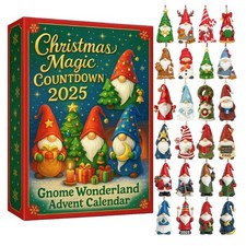 2025 Advent Calendar 24Day Christmas Countdown Surprise Box 2D Flat Acrylic Best