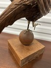 19th Century American Carved Wood Bird Model of a Pheasant — photo 7