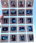 Picture 11 of 16