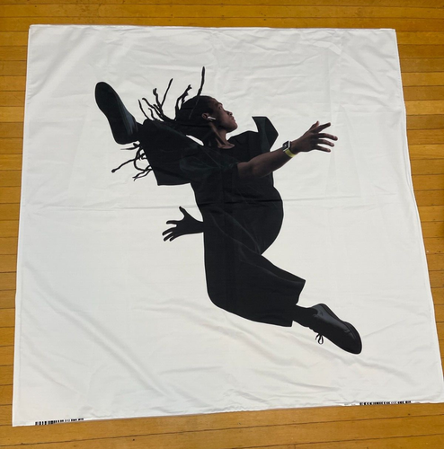 RARE APPLE COMPUTERS VTG " DANCER / BREAKER " LARGE ADVERTISEMENT CLOTH POSTER - 第 1/3 張圖片