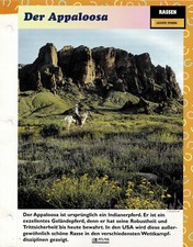 Appaloosa (Lekkie konie) - karta informacyjna