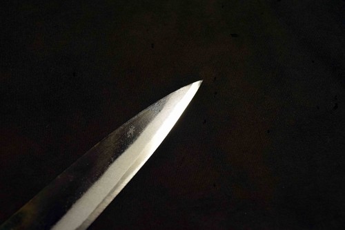 Japanisches Kochmesser Tosa Tsukasa Aogami Super Black Petty 150 mm 4358 - Bild 7 von 13