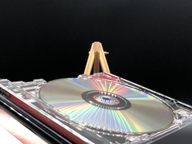 Last Bronx w/spine (Sega Saturn,1997) from japan