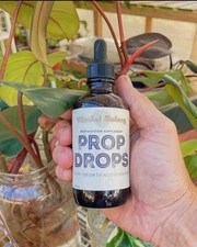 Prop Drops by | Propagation Plant Drops to Promote Healthy Root Growth