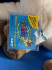 Foto 14 di 16