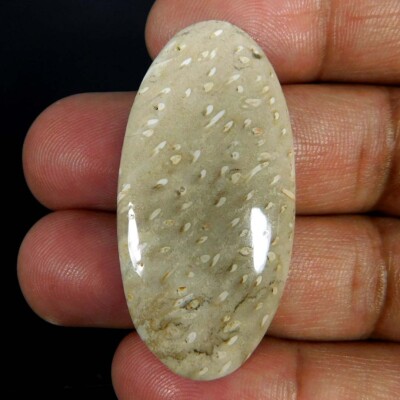 Natural Palm Root Agate Oval Cabochon 29.90Cts. Reiki Healing Loose Gemstone
