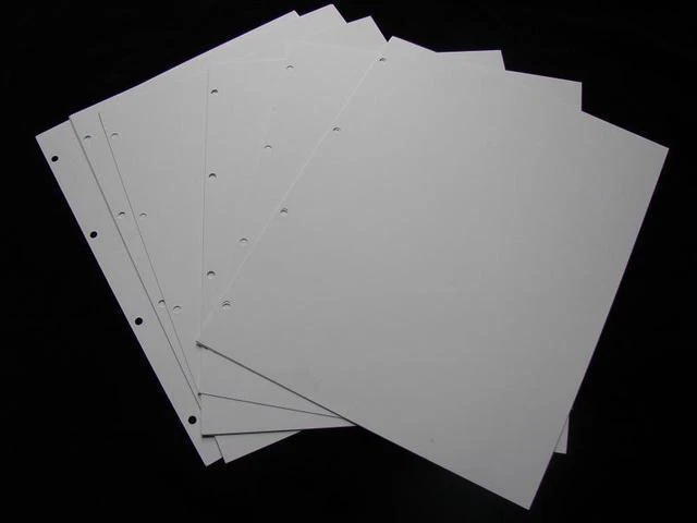 10 Spare White Banknote Album Dividers Collection Page Schulz
