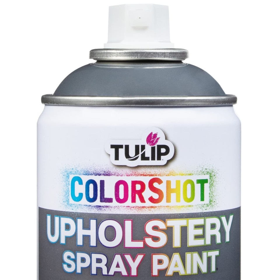 Tulip ColorShot Instant Fabric Color Interior Upholstery Spray 8 oz