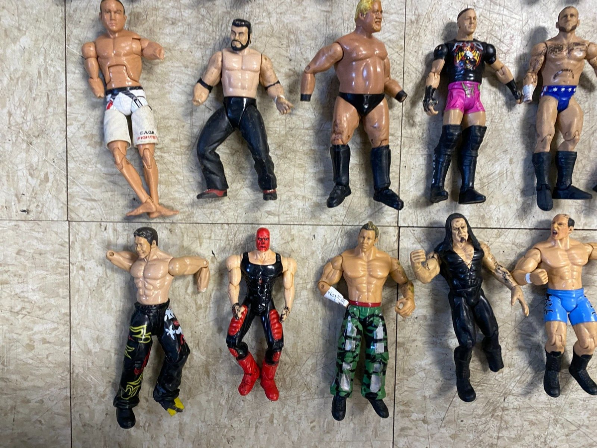ロッカーズ　フィギュア　ハズブロ社　WWF WWE a32155ba2ba856f9597e400a51116d