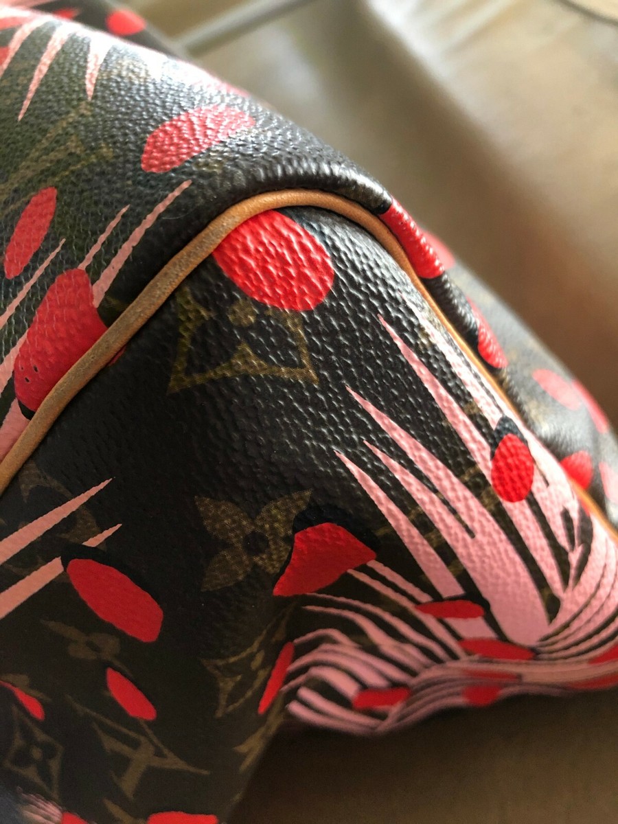 ルイヴィトン  LV ジャングルドット  スピーディ Authentic Louis Vuitton Purse Speedy 30 Palm Springs Jungle