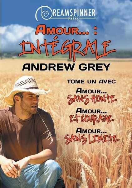 Andrew Grey | Amour... | Taschenbuch | FranzöSisch (2021) | IntéGrale | Amour-image