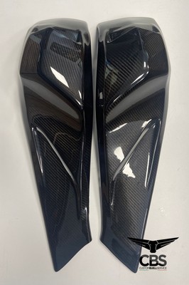 Glänzender Carbon-Rahmenschutz Ulysses/SST/SSLong