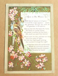 ORIGINAL VICTORIAN RELIGIOUS CARD BIRDS BLOSSOM VERSE GOD IN HIS WORKS