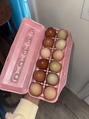 18 BYM fertile Chicken Eggs - Some Rare Breeds- Colorful Eggs