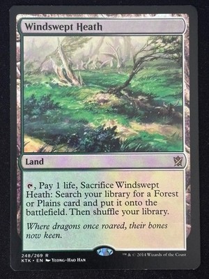 1x MTG Windswept Heath - Khans of Tarkir (KTK) #248 - Magic the Gathering