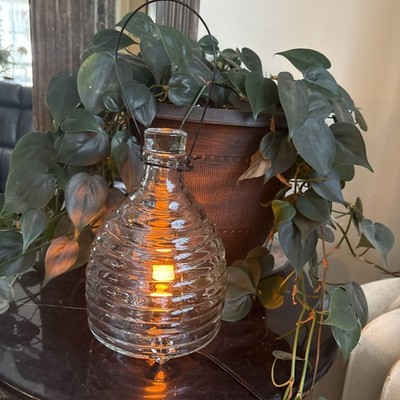 CKB LTD Large Glass Wasp Trap - Ribbed Honey Pot Design With Metal Hanger For Garden-518149