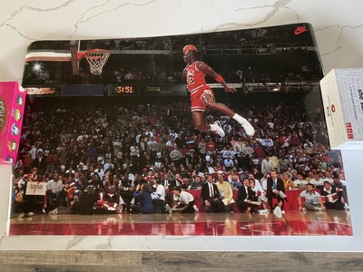 nike jordan slam dunk