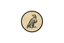 Patch toppe toppa badge termoadesiva aquila ref121