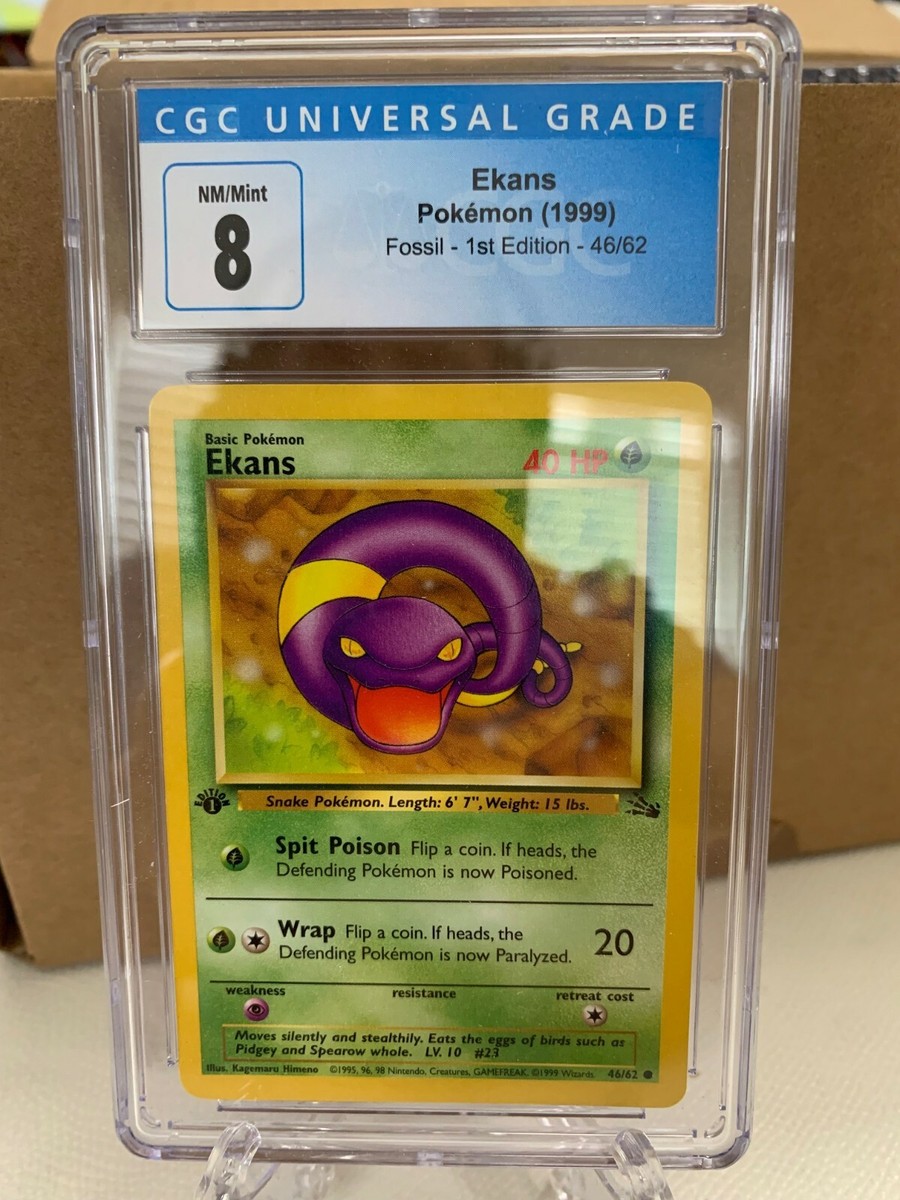 レックウザ Holo 1stエディション psa10 最新ケース PSA10】レックウザV SR 076/067の通販 土日祝休@magi公式