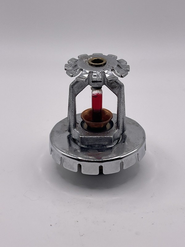 NEW TYCO TY3251 SPRINKLER HEAD SP 3/4"