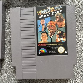 NES Sammlung Ducktales Wrestlemania Faxanadu Shadowgate Lowgman Schl&uuml;mpfe Blob