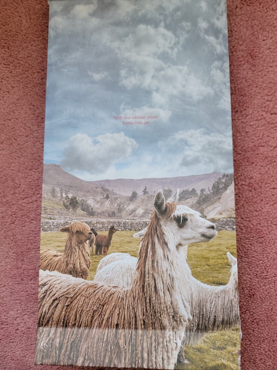 KUNA baby alpaca scarf peru | eBay KUNA baby alpaca scarf peru | eBay