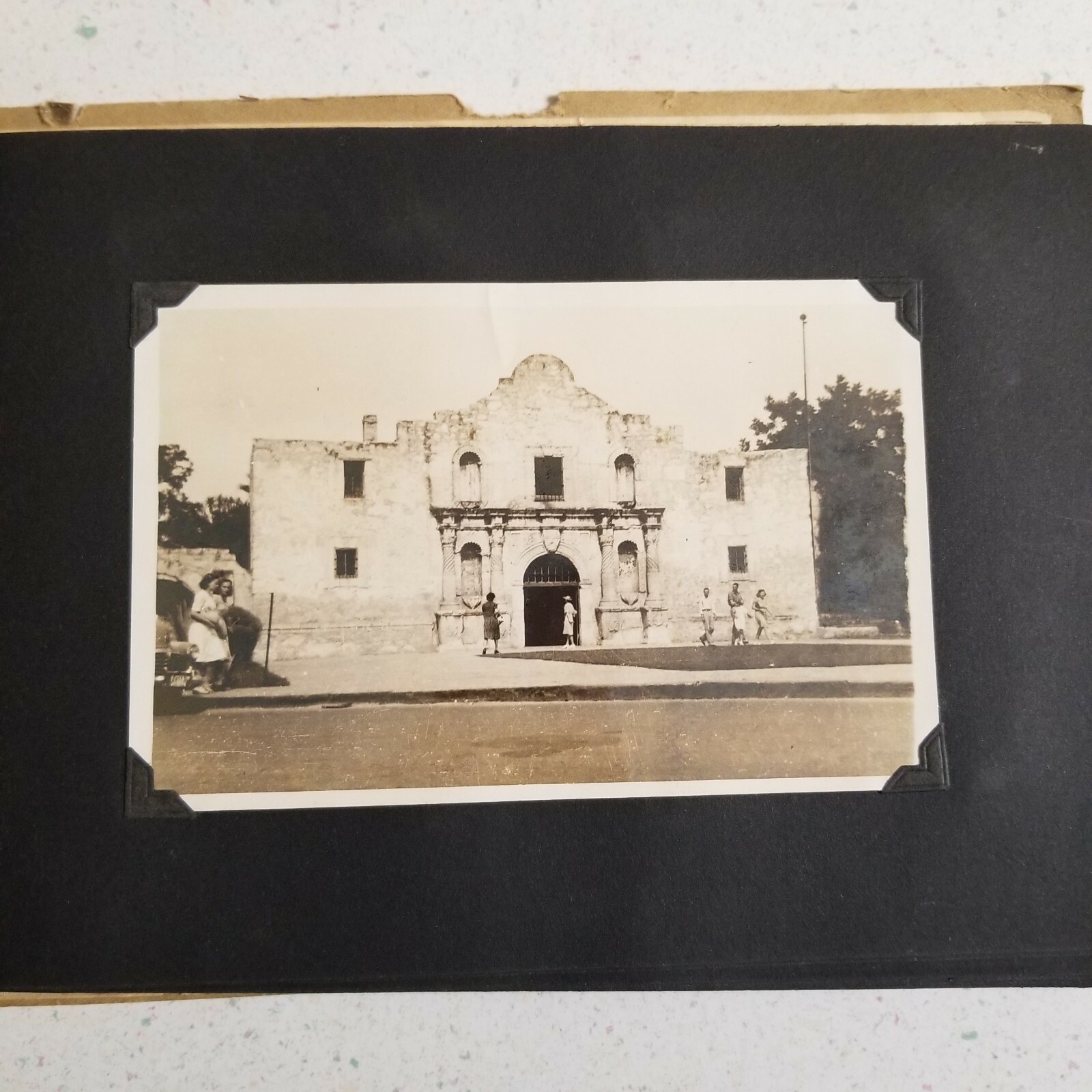 Picture 5 of 12