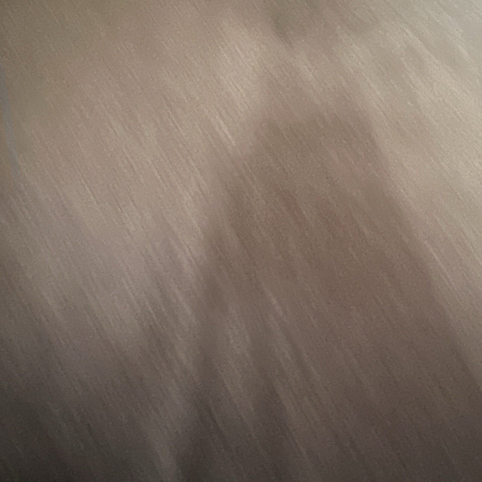 Bild 11 von 16