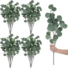 20 Pcs artificial eucalyptus stems fake eucalyptus faux greenery Leaves 23.6 ...