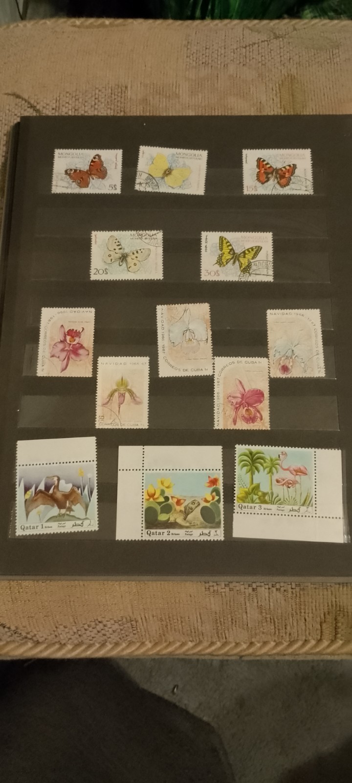 Picture 14 of 22