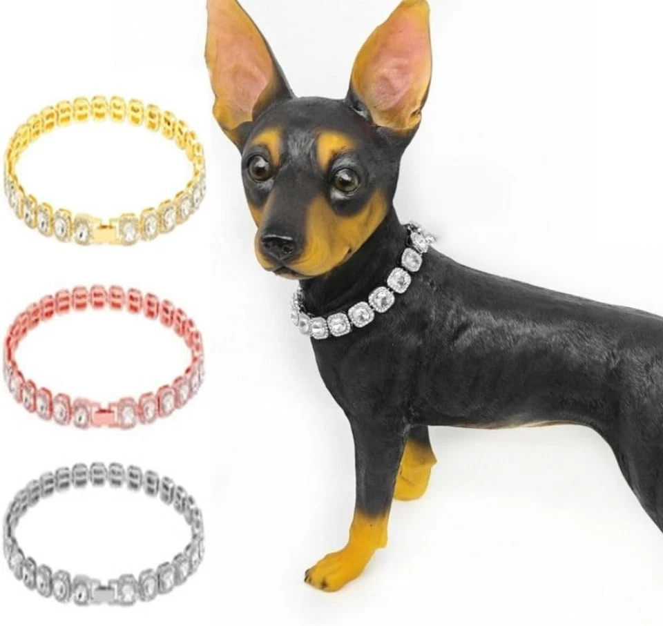 Collar de diamantes de imitación brillante para perro mascota cachorro gato collar diamante cristal suministros para perros Foto 4 de 4