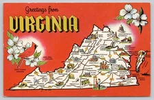 Greetings From Virginia Illustrated State Map Dogwood Cardinal Chrome Postcard