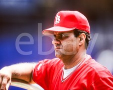 Color 8x10 photo of Joe Torre, St. Louis Cardinals.  (BK13)