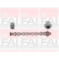 FAI Autoparts Nockenwelle Passend FüR CitroËN Berlingo C2 C3 C4 C5 Jumpy Xsara