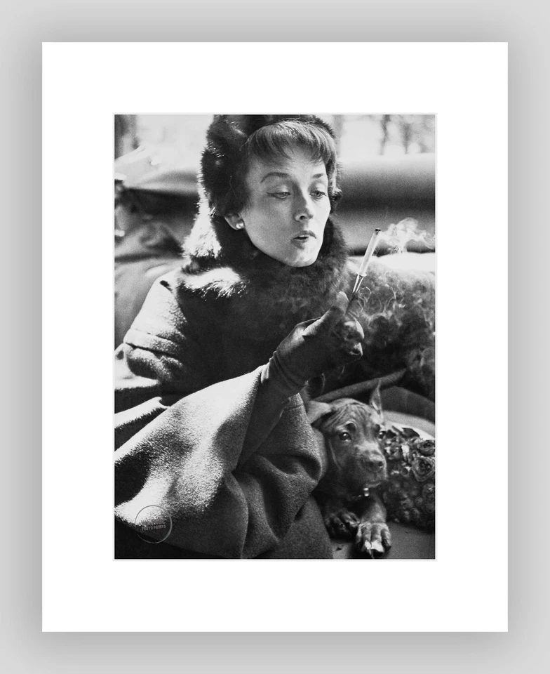 Abrigo Dorian Leigh Estampado Richard Avedon De Colección Dior Paris Art Duotone 1949 Mat 16x20 Foto 2 de 2