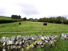 Photo 6x4 Bomackatall Townland Bellway Looking north-west c2013