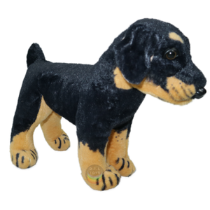 rottweiler teddy