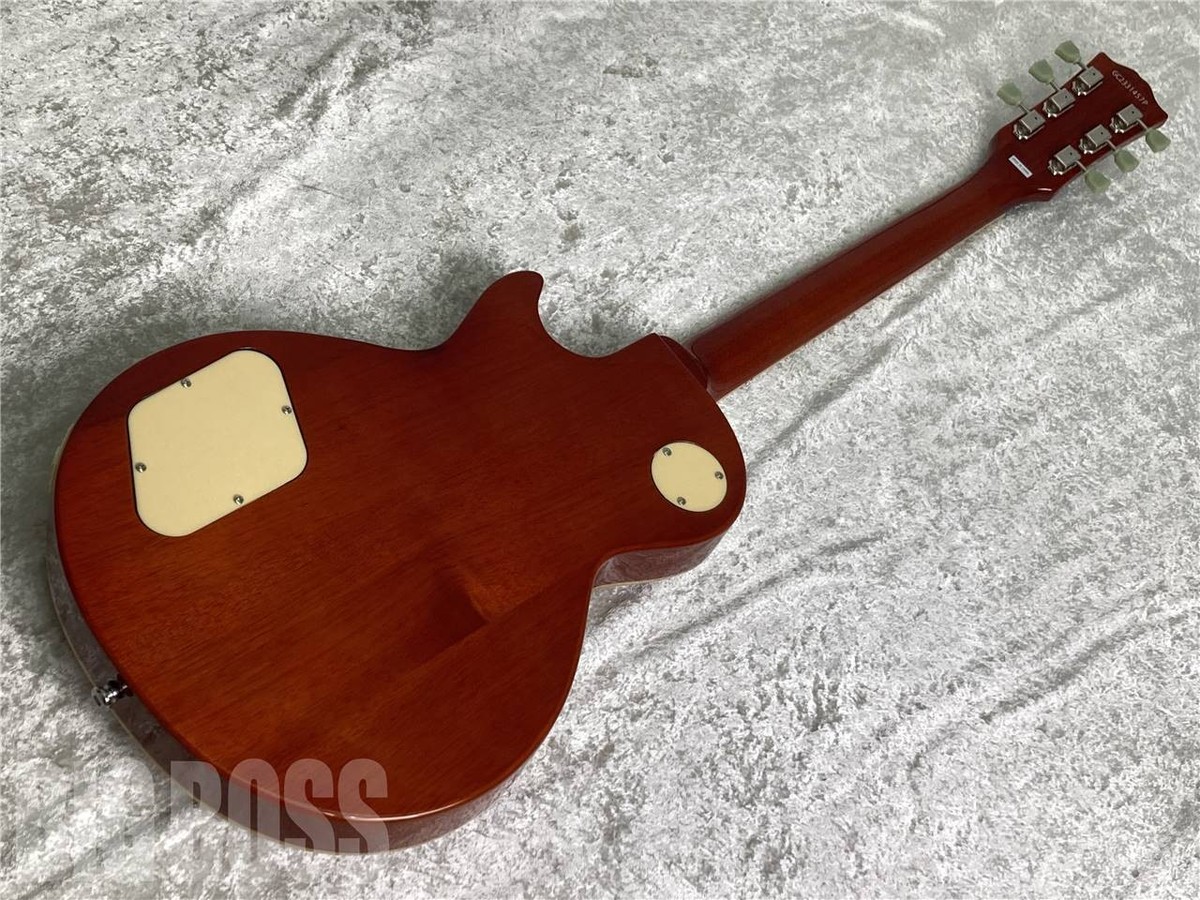 GrassRoots G-LP-STD Honey Sunburst | eBay