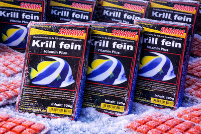 SAHAWA Krill fein 40 x100g   hochwertiges Frostfutter für Aquarienfische