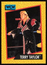 1991 Impel WCW #69 Terry Taylor