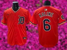 Top 10 Al Kaline Baseball Cards 18