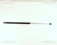 Triscan Kofferraum Lifter DäMpfer Gasfeder FüR Fiat Marea Weekend (185_)