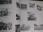 Picture 11 of 16